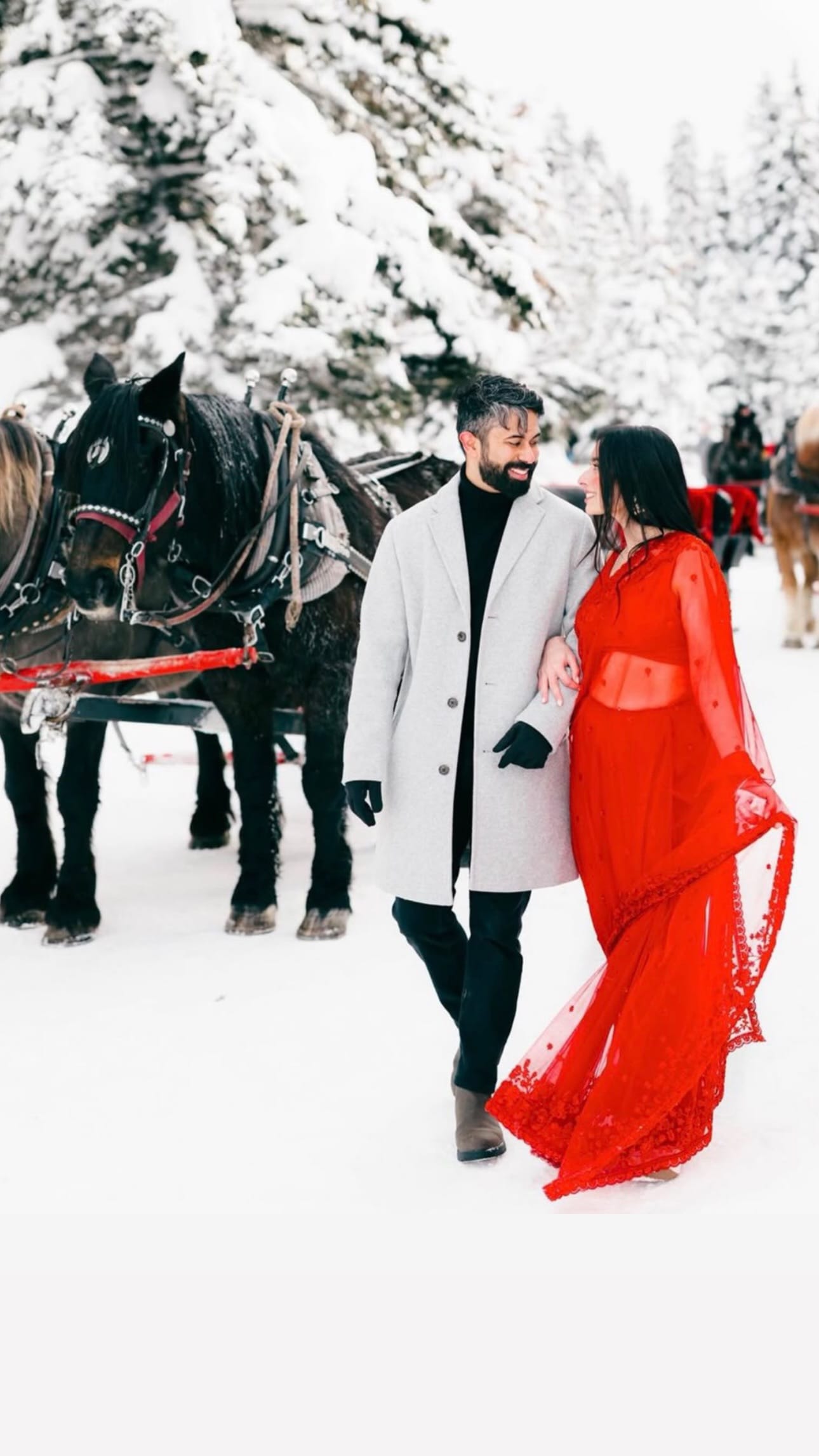 A couple walks arm in arm through deep snow beside a dark horse harnessed to a red sleigh, the woman in a sheer red embroidered sari and the man in a light grey wool coat.